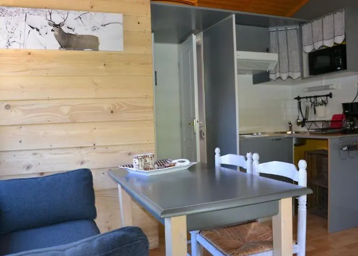 4 Pers Avec Terrasse A - Api-1-52-236 * Roquefeuil